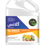 GLANCE